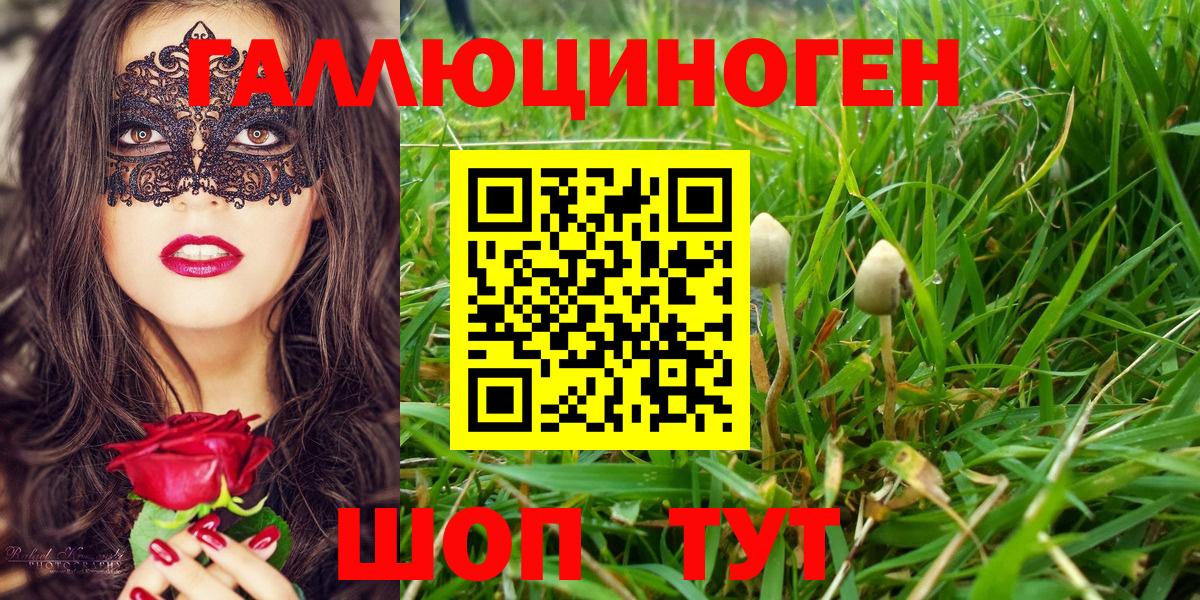 Сыктывкар  Псилоцибиновые грибы мицелий  Галлюциногенные грибы мицелий  Вход с VPN 